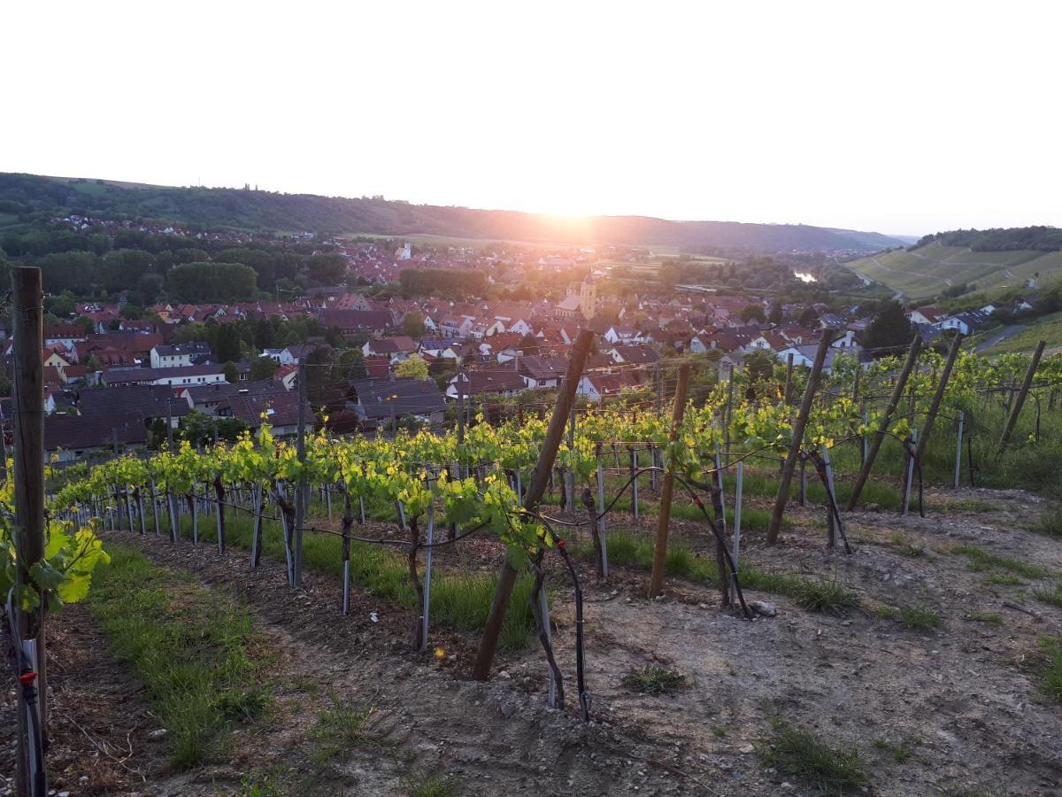 Hotel & Restaurant Sonnenhoefle Sommerhausen Dış mekan fotoğraf